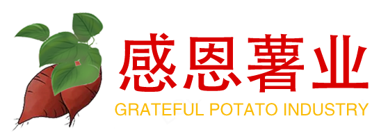 【官网】兰考感恩薯业